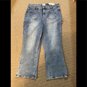 Plus Size NWT D/C JeansBoot Cut